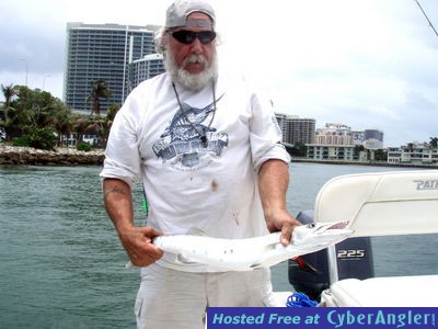 Click to Enlarge Photo