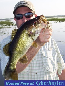 Click to Enlarge Photo