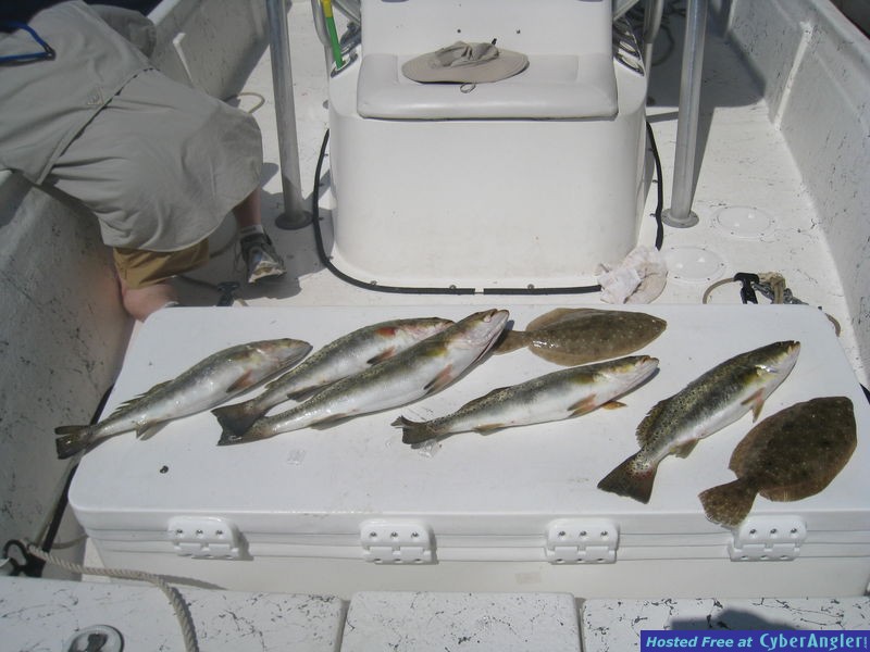 Panama City Beach Light Tackle.