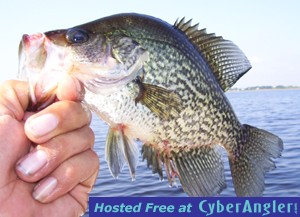 Click to Enlarge Photo