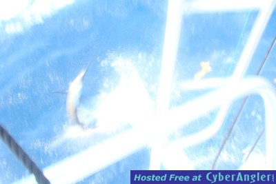 May11