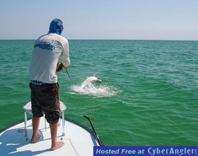 Oceanside Tarpon Tampa Bay