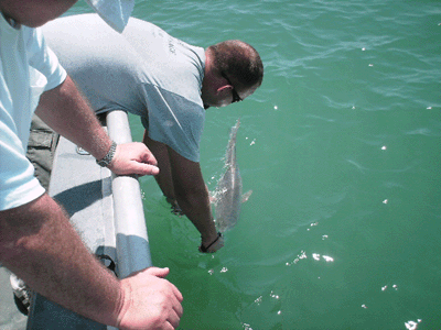 Jacksonville fishing