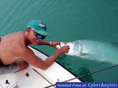 Sanibel Tarpon