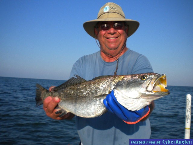 Click to Enlarge Photo