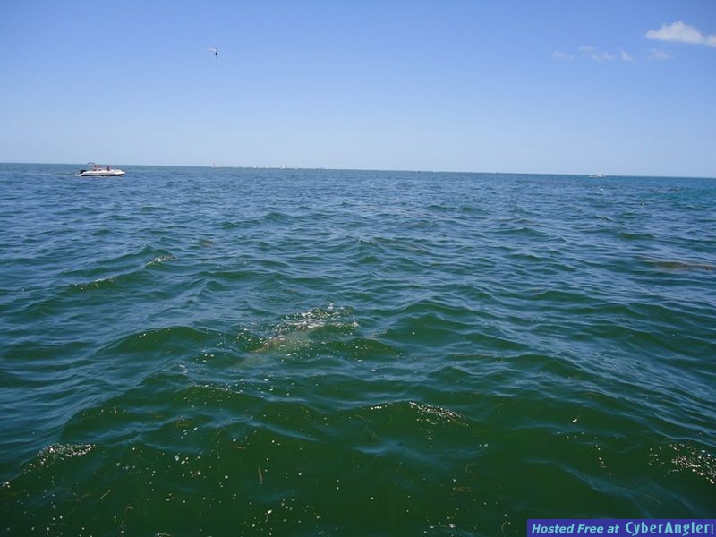 Boca2010_007