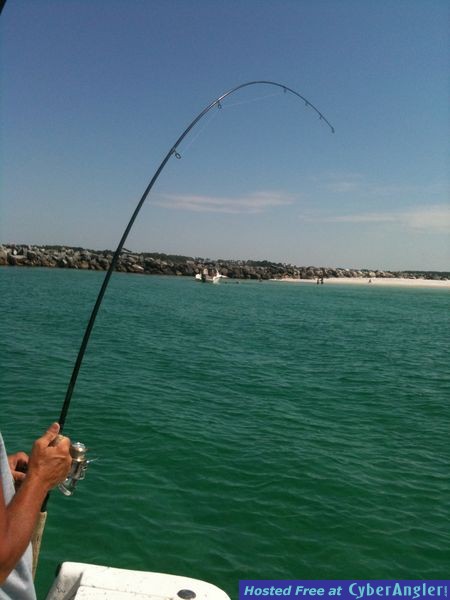 PCB Inshore