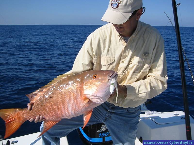snapper_march_2005_001