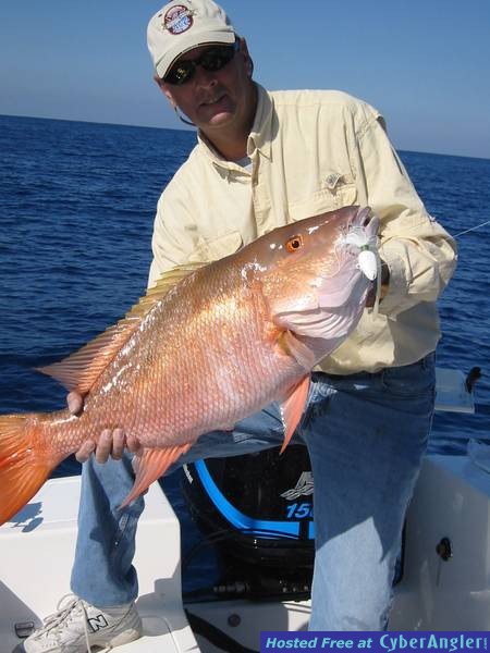 snapper_march_2005_004