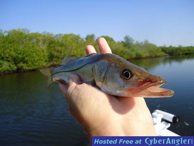 Click to Enlarge Photo