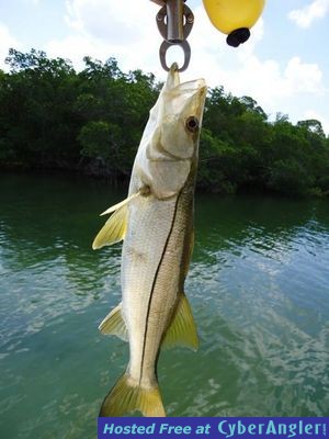 Click to Enlarge Photo