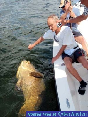 Click to Enlarge Photo