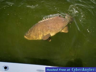 Click to Enlarge Photo