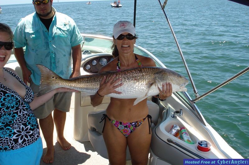 55&quot; Bull Redfish - Tampa Bay