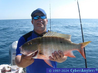 Click to Enlarge Photo