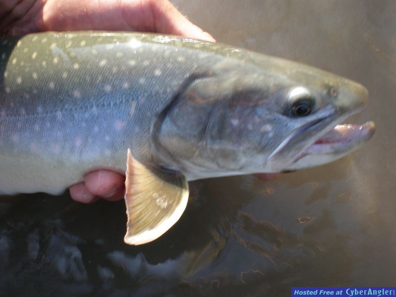 Pitt River Lodge