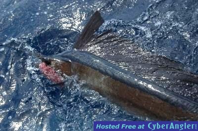 Click to Enlarge Photo