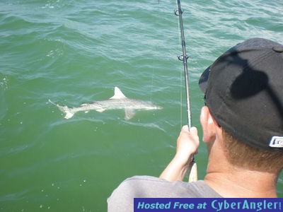 Sanibel Shark fishing