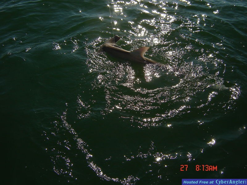 Picture_0142