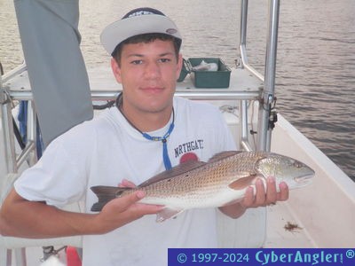 Click to Enlarge Photo