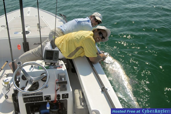 Click to Enlarge Photo