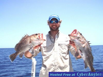 Click to Enlarge Photo