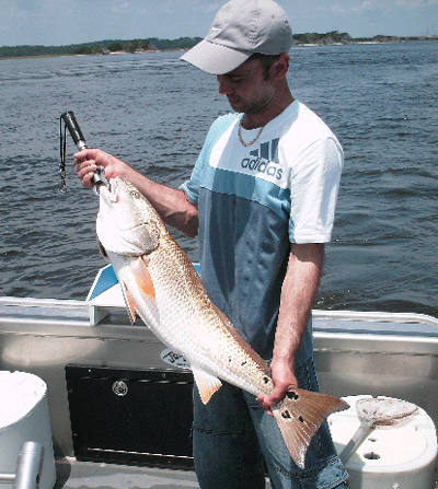 Jacksonville fishing