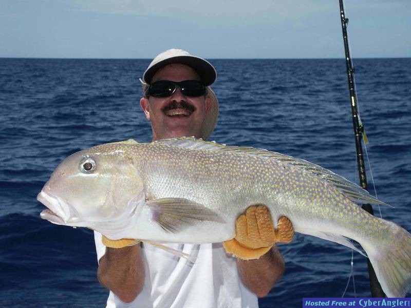 Golden Tilefish