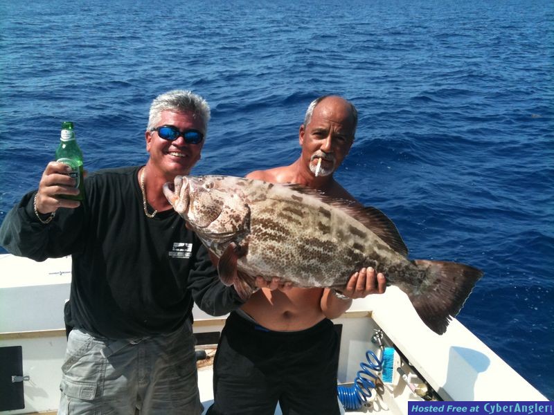 black_grouper_6510