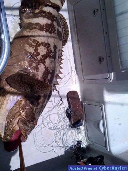 memorial2010_jewfish_002