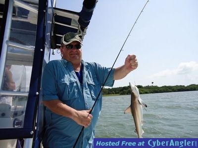 Click to Enlarge Photo