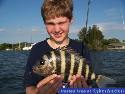 Jessie's Sheepshead