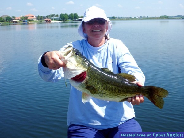 Bevs9lber