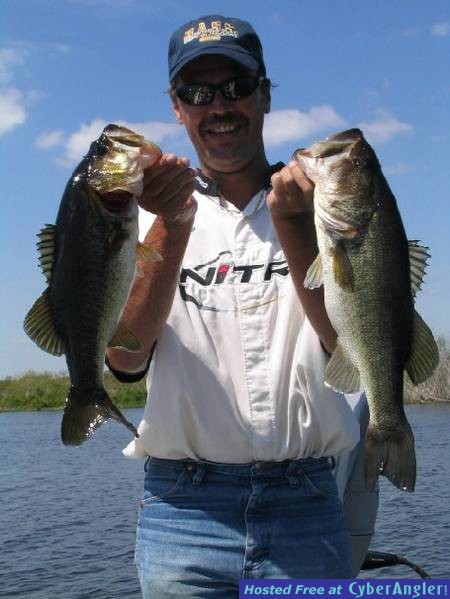 Toho Bass