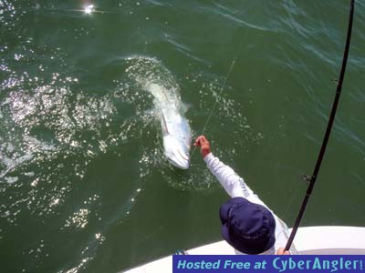 Click to Enlarge Photo