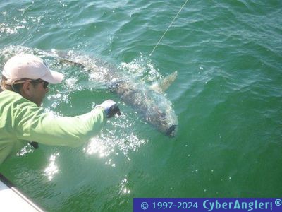 Click to Enlarge Photo