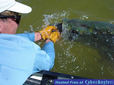 Click to Enlarge Photo