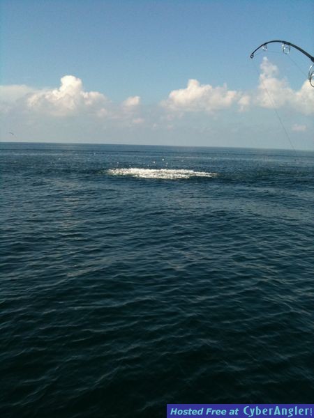 Panama City Beach No Oil!!!!!!!!!