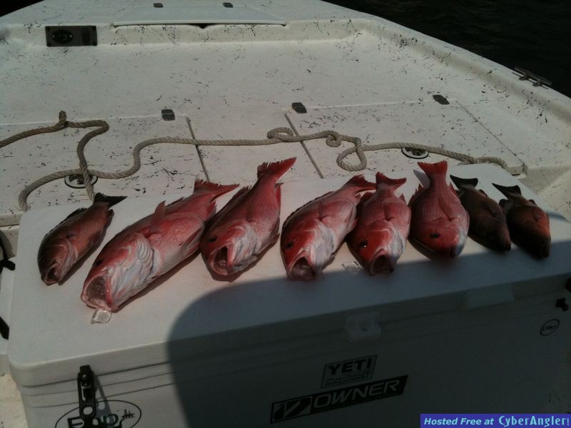 Panama City Beach No Oil!!!!!!!!!