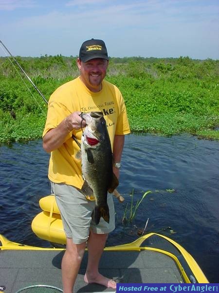 Sweet Hawg