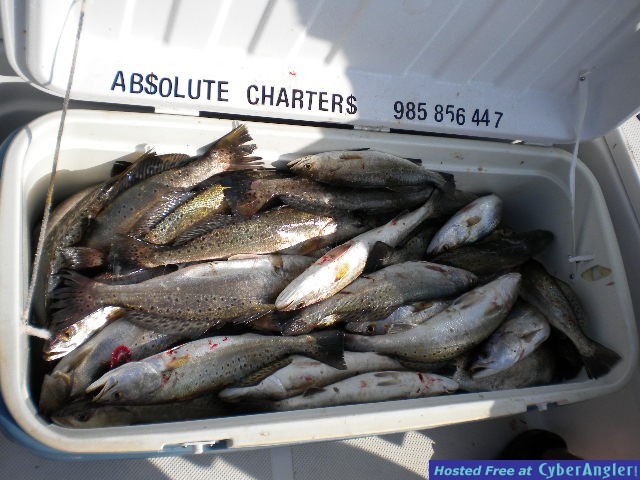 Click to Enlarge Photo