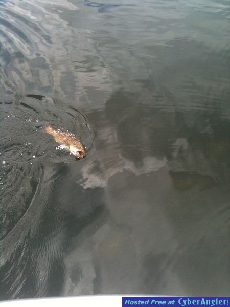 Panama City Beach Light Tackle