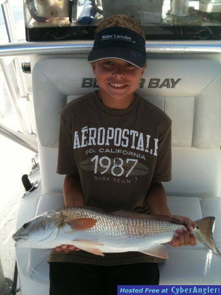 trout_217