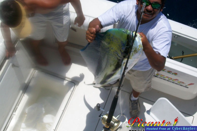 Dorado caught in the Express