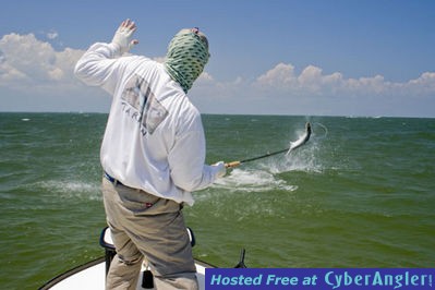 tarpon-2010-pics-11-3