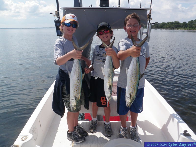 Click to Enlarge Photo