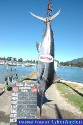 Blue Marlin caught in New Zealand on light tackle