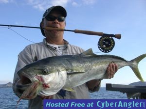Yellowtail Kingfish on the Fly in New Zealand
