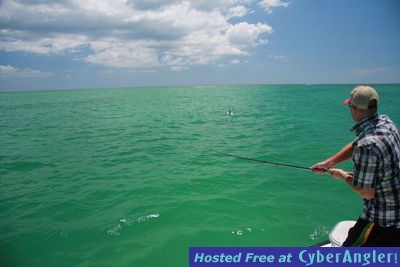Tampa Bay Tarpon Fly Fishing