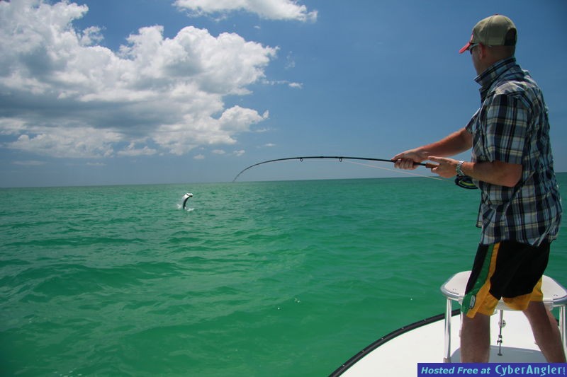 Tampa Bay Tarpon Fly Fishing